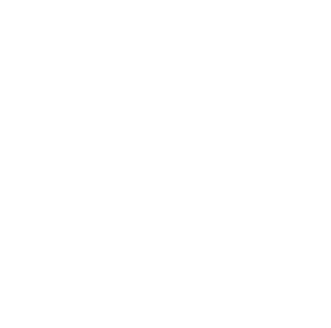 City of Providence Logo